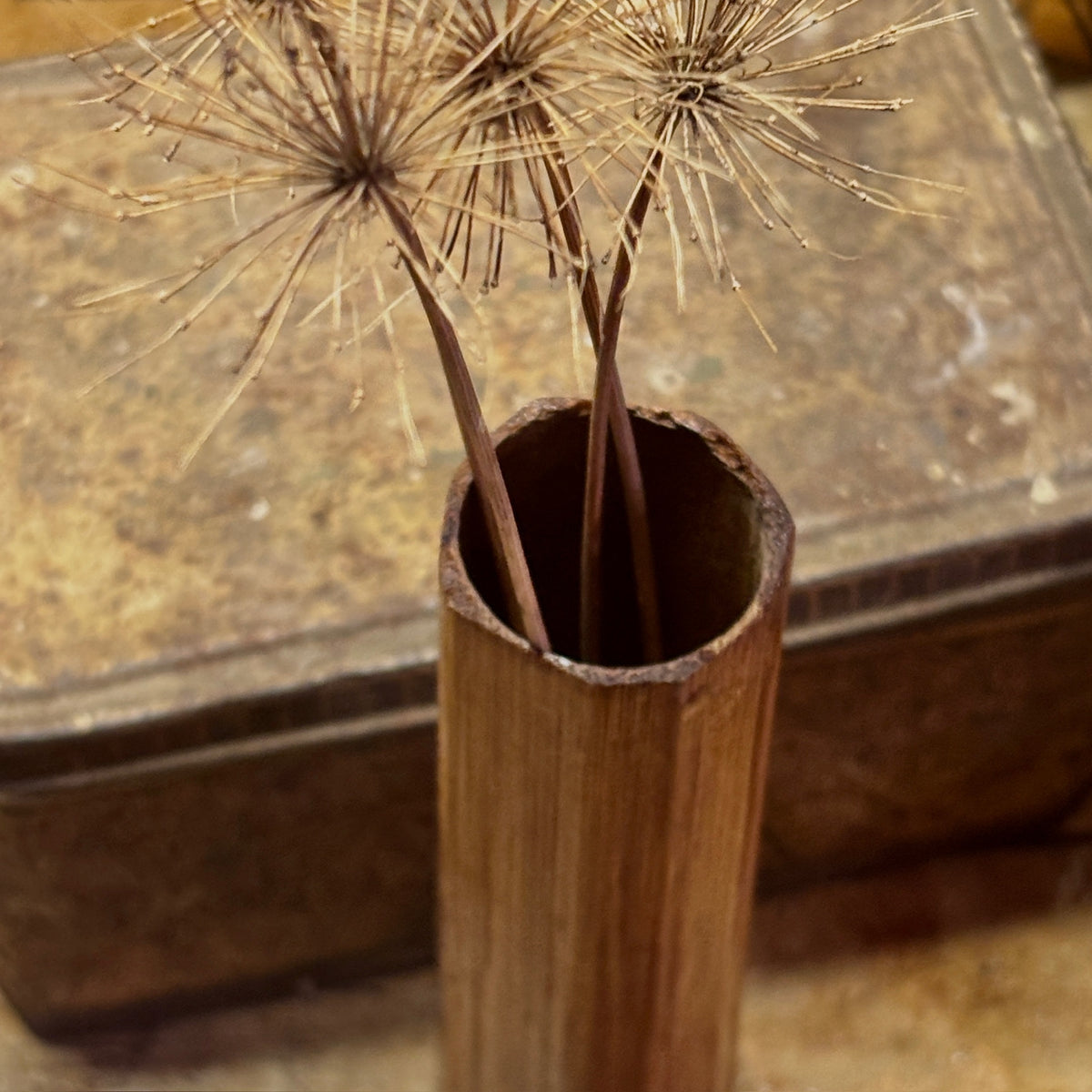 Duo Delicate Dark (Varnished) Dry Vase + Photo/menu holder