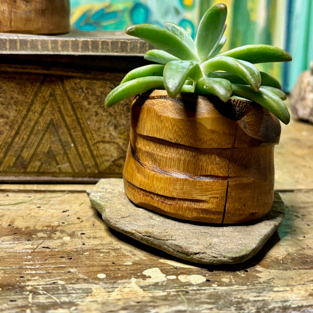 Succulent pots- 5-10 cm