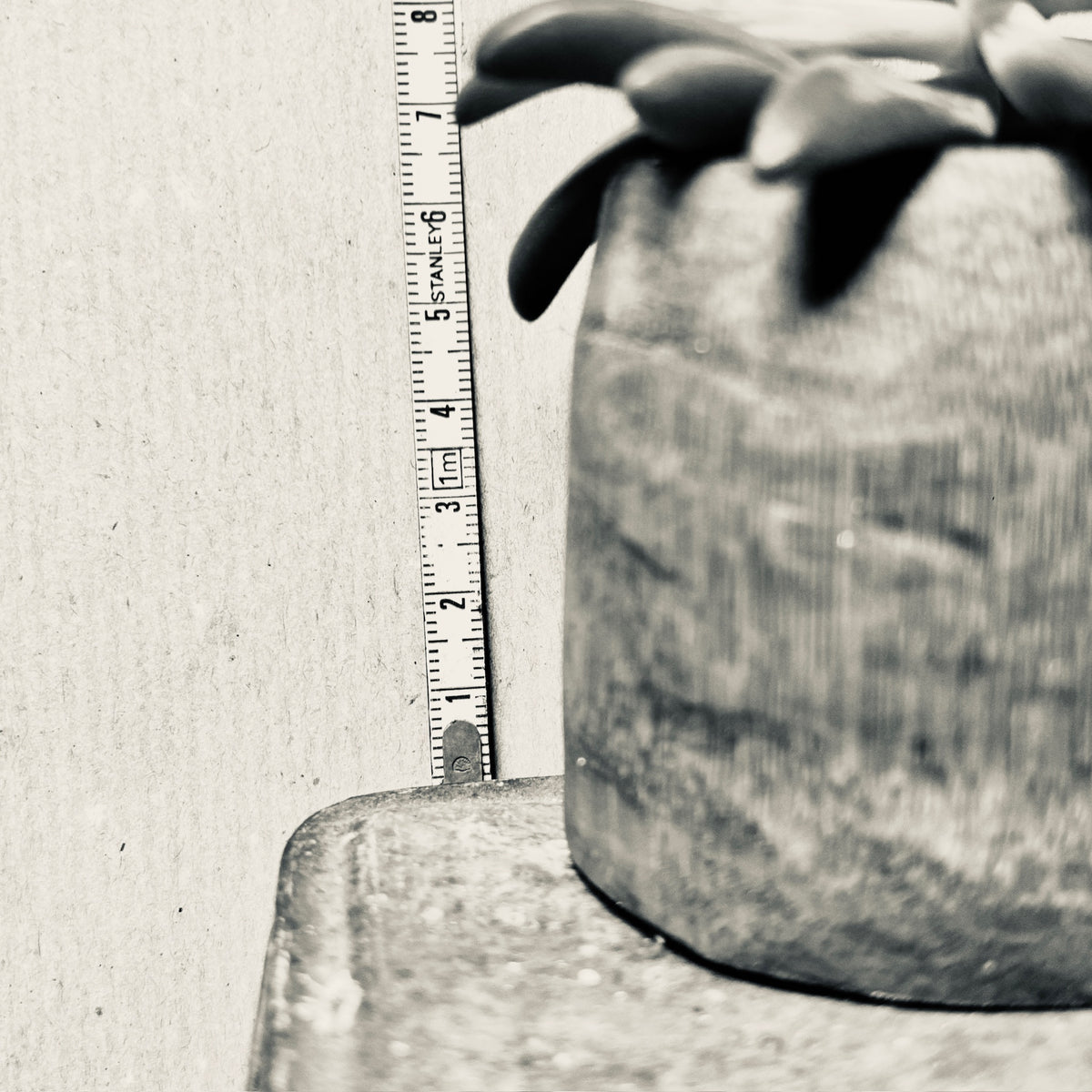 Succulent pots- 5-10 cm
